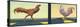 Road Chickens Diptych-James W Johnson-Premier Image Canvas