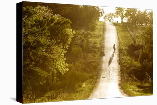 Road Cycling in Texas Hill Country Near Fredericksburg, Texas, Usa-Chuck Haney-Premier Image Canvas