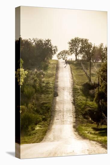 Road Cycling in Texas Hill Country Near Fredericksburg, Texas, Usa-Chuck Haney-Premier Image Canvas