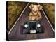 Road Hog-Leah Saulnier-Premier Image Canvas