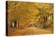 ROAD IN AUTUMN CENTRAL PENNSYLVANIA USA-Panoramic Images-Premier Image Canvas