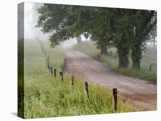 Road in Cades Cove, Great Smoky Mountains National Park, Tennessee, USA-null-Premier Image Canvas