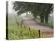 Road in Cades Cove, Great Smoky Mountains National Park, Tennessee, USA-null-Premier Image Canvas