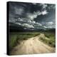 Road in Field and Stormy Clouds-Dudarev Mikhail-Premier Image Canvas