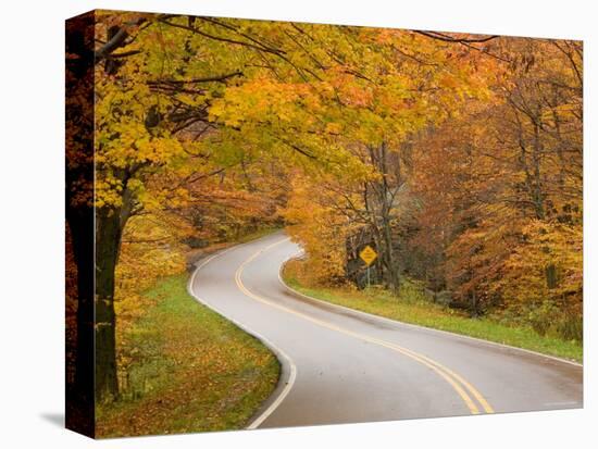 Road in Forest, Vermont, New England, USA-Demetrio Carrasco-Premier Image Canvas