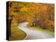 Road in Forest, Vermont, New England, USA-Demetrio Carrasco-Premier Image Canvas