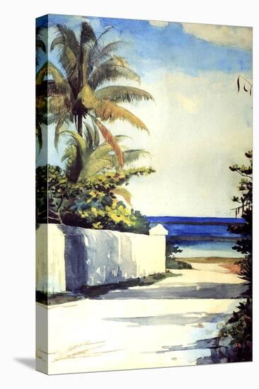 Road in Nassau, 1898-99-Winslow Homer-Premier Image Canvas