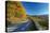 Road in Shenandoah National Park-sborisov-Premier Image Canvas