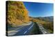 Road in Shenandoah National Park-sborisov-Premier Image Canvas