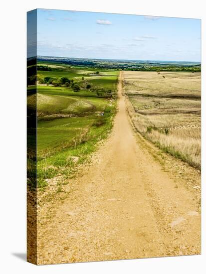 Road in the Flint Hills, dividing two colors of grass-Michael Scheufler-Premier Image Canvas