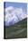 Road in Thorofare Pass Below Mt. Mckinley-Paul Souders-Premier Image Canvas