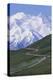 Road in Thorofare Pass Below Mt. Mckinley-Paul Souders-Premier Image Canvas