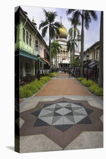 Road Leading to the Sultan Mosque in the Arab Quarter, Singapore, Southeast Asia, Asia-John Woodworth-Premier Image Canvas