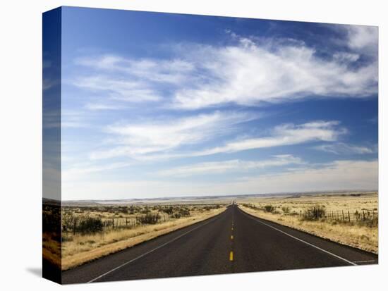 Road Near Marfa, West Texas, USA-Walter Bibikow-Premier Image Canvas