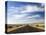 Road Near Marfa, West Texas, USA-Walter Bibikow-Premier Image Canvas