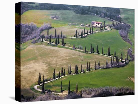 Road Near Montepulciano, Tuscany-Vadim Ratsenskiy-Stretched Canvas