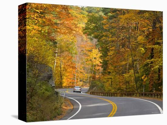 Road Nr. Lake George, New York State, USA-Demetrio Carrasco-Premier Image Canvas