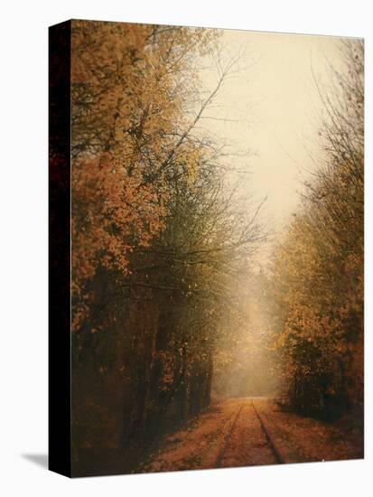 Road of Mysteries I-Amy Melious-Stretched Canvas