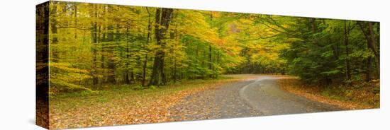 Road passing through a park, Chestnut Ridge County Park, Orchard Park, Erie County, New York Sta...-null-Premier Image Canvas