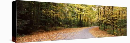 Road Passing Through Forest, Chestnut Ridge County Park, Orchard Park, Erie County, New York State-null-Premier Image Canvas