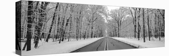 Road passing through winter forest, Wheeling, Illinois, USA-Panoramic Images-Premier Image Canvas