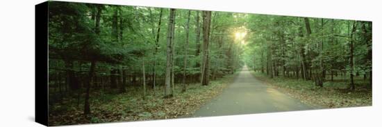 Road Running through a Forest, Door County, Wisconsin, USA-null-Premier Image Canvas