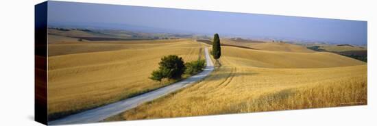 Road Running Through Open Countryside, Orcia Valley, Siena Region, Tuscany, Italy-Bruno Morandi-Premier Image Canvas