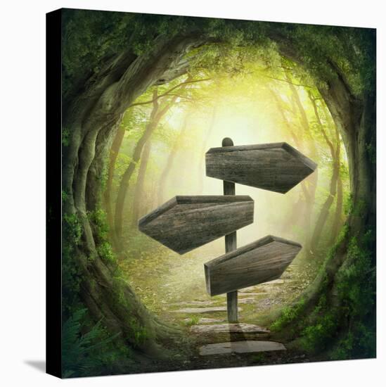 Road Sign in the Dark Forest-egal-Premier Image Canvas