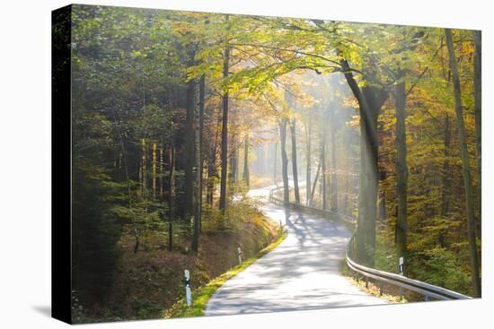 Road Through Autumn Woodland, Saxon Switzerland, Saxony, Germany-Peter Adams-Premier Image Canvas