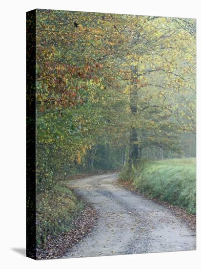 Road through Cataloochee Valley, Great Smokey Mountians National Park, North Carolina, USA-Adam Jones-Premier Image Canvas