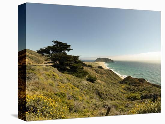 Road Through Pacific Grove and Pebble Beach-Carol Highsmith-Stretched Canvas