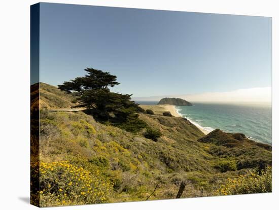 Road Through Pacific Grove and Pebble Beach-Carol Highsmith-Stretched Canvas