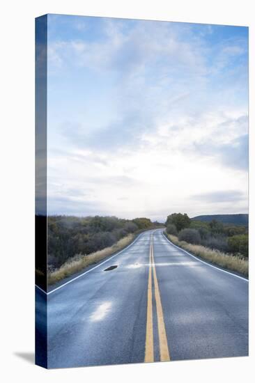 Road Through The National Park Section Of The Black Canyon Of The Gunnison River NP In SW Colorado-Justin Bailie-Premier Image Canvas