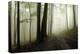 Road Through the Woods-PhotoINC-Premier Image Canvas