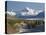 Road to Aoraki Mount Cook, Mackenzie Country, South Canterbury, South Island, New Zealand-David Wall-Premier Image Canvas
