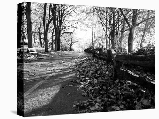 Road with Leaves on Ground-Sharon Wish-Premier Image Canvas