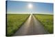 Road with sun, Gottersdorf, Odenwald, Baden Wurttemberg, Germany-Raimund Linke-Stretched Canvas