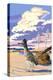 Roadrunner Scene-Lantern Press-Stretched Canvas