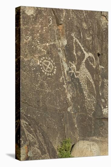 Roadrunner with a Snake and Other Jornada-Mogollon Petroglyphs at Three Rivers Site, New Mexico-null-Premier Image Canvas