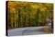 Roadway in Autumn in Brown County State Park, Indiana, USA-Chuck Haney-Premier Image Canvas