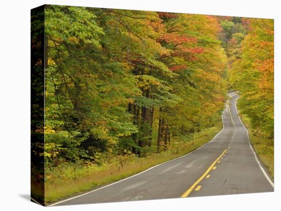 Roadway Through White Mountain National Forest, New Hampshire, USA-Adam Jones-Premier Image Canvas