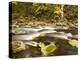 Roaring Brook in Fall in Vermont's Green Mountains National Forest, Sunderland, Vermont, Usa-Jerry & Marcy Monkman-Premier Image Canvas