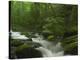 Roaring Fork River flowing through the Great Smoky Mountains National Park, Tennessee-Tim Fitzharris-Stretched Canvas