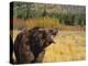 Roaring Grizzly-DLILLC-Premier Image Canvas