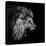 Roaring Lion #2-Christian Meermann-Premier Image Canvas