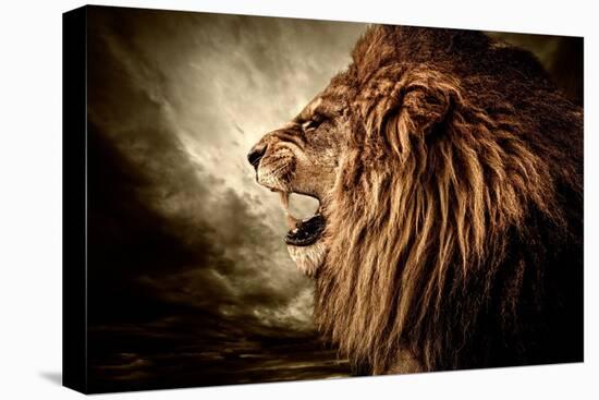 Roaring Lion Against Stormy Sky-NejroN Photo-Premier Image Canvas