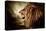 Roaring Lion Against Stormy Sky-NejroN Photo-Premier Image Canvas