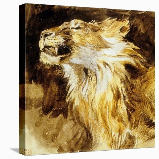 Roaring Lion, C.1833-35-Eugene Delacroix-Stretched Canvas