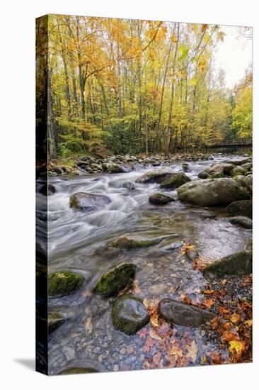 Roaring Waters III-Danny Head-Premier Image Canvas