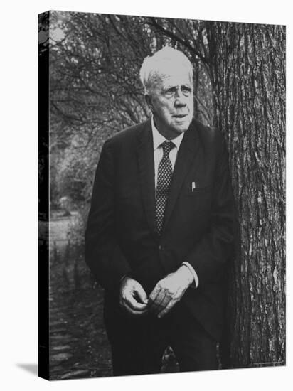Robert Frost Leaning Against Tree on Campus of Amherst College Where He is a Professor of English-Gordon Parks-Premier Image Canvas